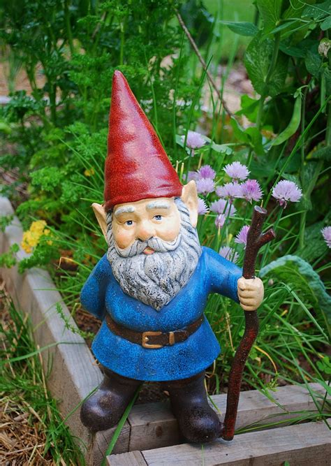 How rare is the gnome?