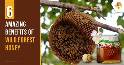 How safe is wild honey?