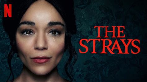 How scary is the movie The Strays?