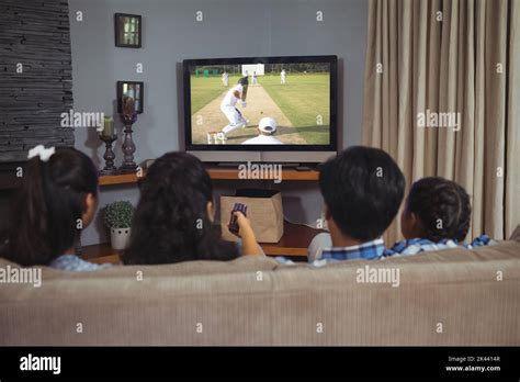 How should I start watching cricket?