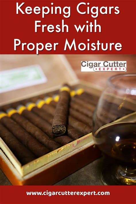 How should a fresh cigar feel?