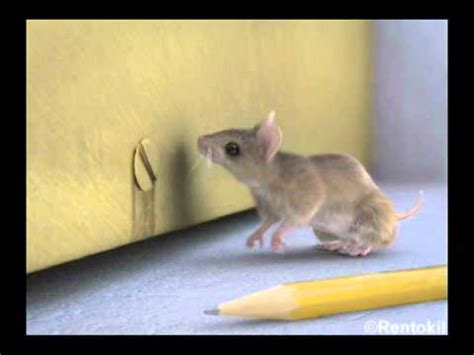 How small can a mouse go?