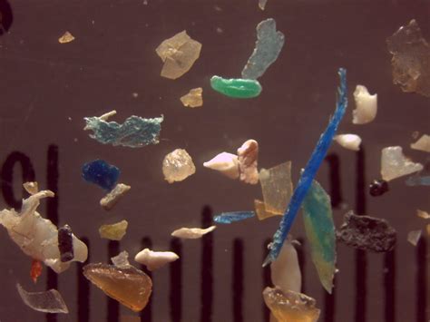 How small is Microplastic?