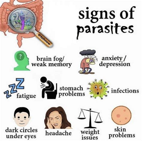 How soon do parasite symptoms appear?