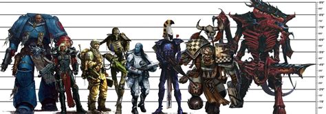 How tall are Marines in 40k?