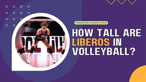 How tall do liberos have to be?