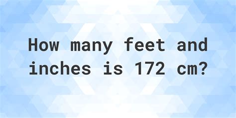 How tall is 172?