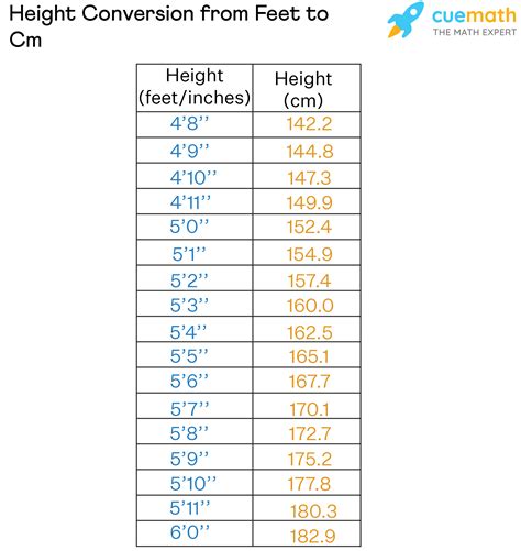 How tall is 5 8 feet in cm?