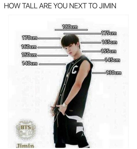 How tall is Jimin's ideal type?