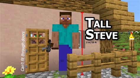 How tall is Minecraft Steve?