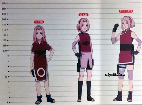 How tall is Sakura?