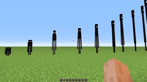 How tall is a Enderman?