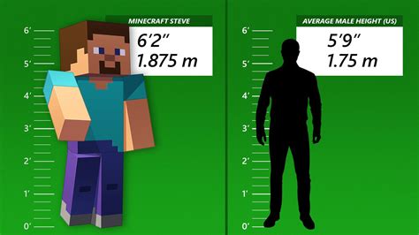 How tall is a Steve in feet?