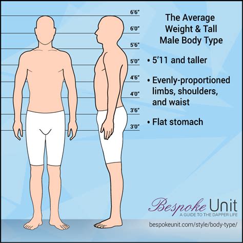 How tall is a male body?