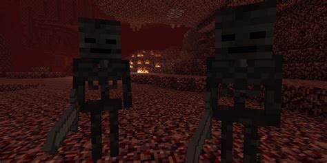 How tall is the wither?