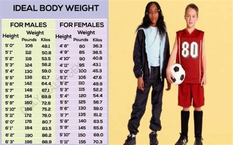 How tall should 14-year-old be?