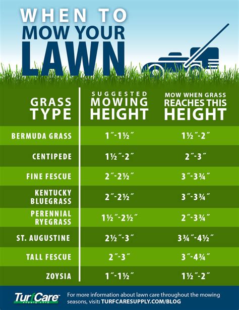 How tall should I mow my grass?