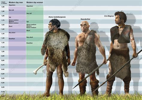 How tall were humans 15000 years ago?