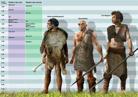 How tall were people 2000 years ago?