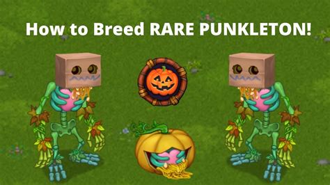 How to breed 100% Punkleton?