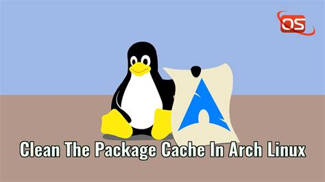 How to clear cache of packages in Linux?