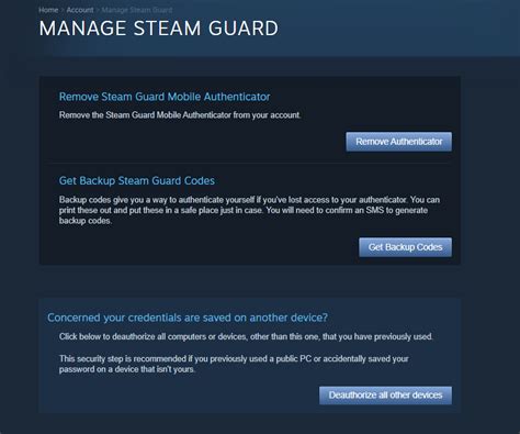 How to deauthorize Steam?