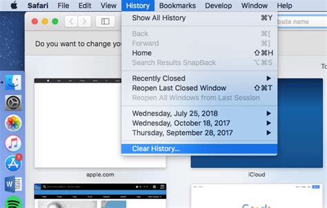 How to delete history on Mac?