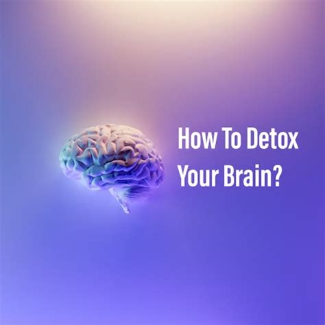 How to detox your brain?