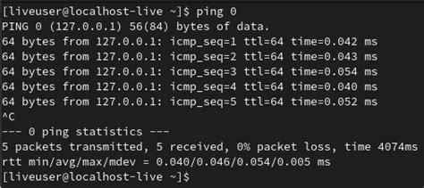 How to do a large ping?