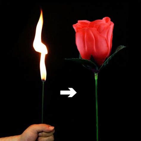 How to do a rose magic trick?