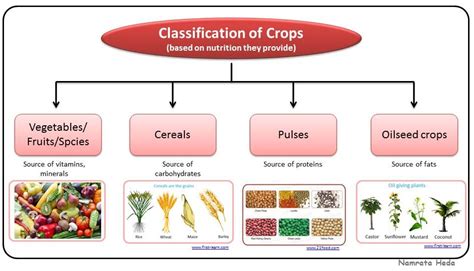 How to do crop classification?
