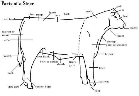 How to do livestock judging cuts?