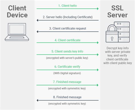 How to download TLS certificate?