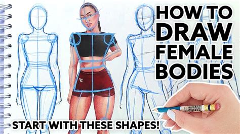 How to draw a female body?
