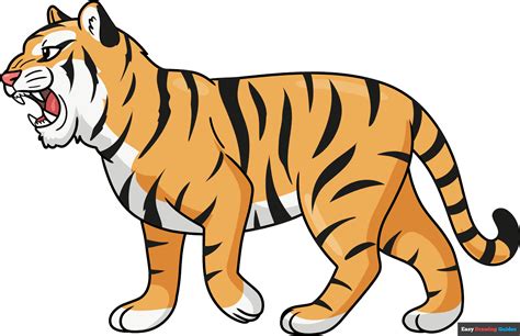 How to draw a tiger?