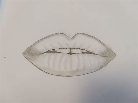 How to draw lips from photo?