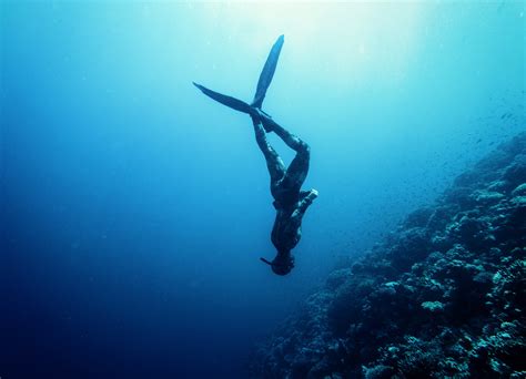 How to free diving?