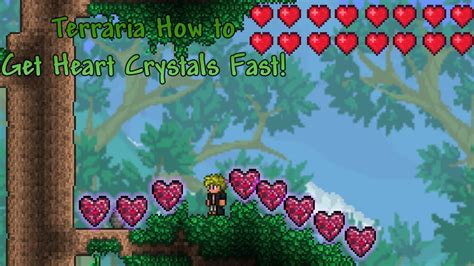 How to get 600 hearts in Terraria?