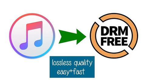 How to get DRM free music?