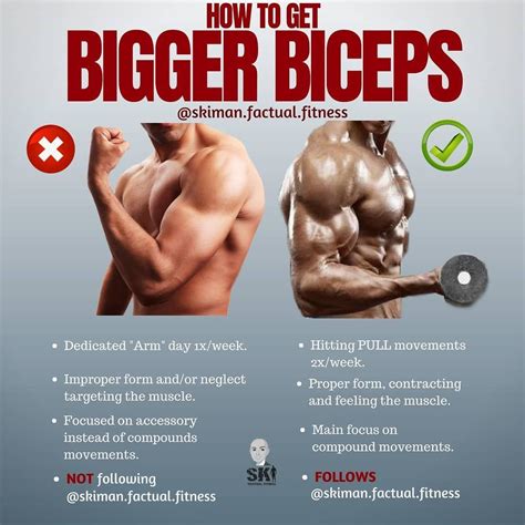 How to get big biceps?