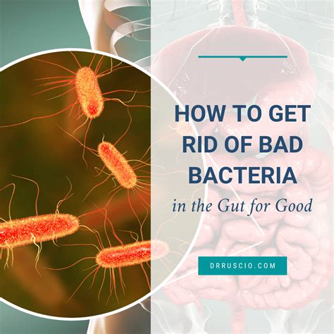 How to get rid of bacteria in your body without antibiotics?