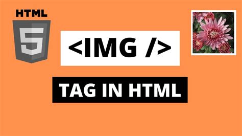 How to hide img tag in HTML?