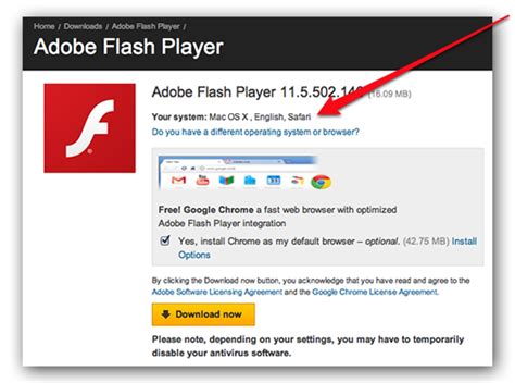 How to install Adobe Flash Player?