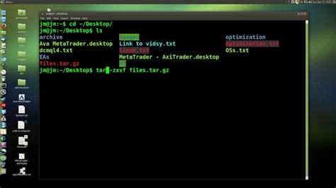 How to install TGZ file in Ubuntu using terminal?