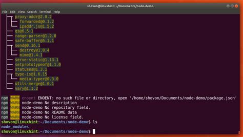 How to install npm packages in Linux?