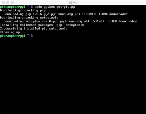 How to install pip in sudo?