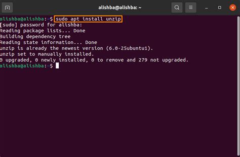 How to install zip file in Ubuntu using terminal?