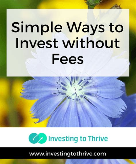 How to invest without fees?