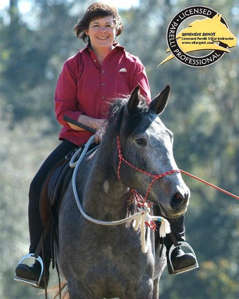 How to learn natural horsemanship?