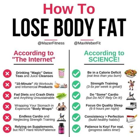 How to lose body fat?